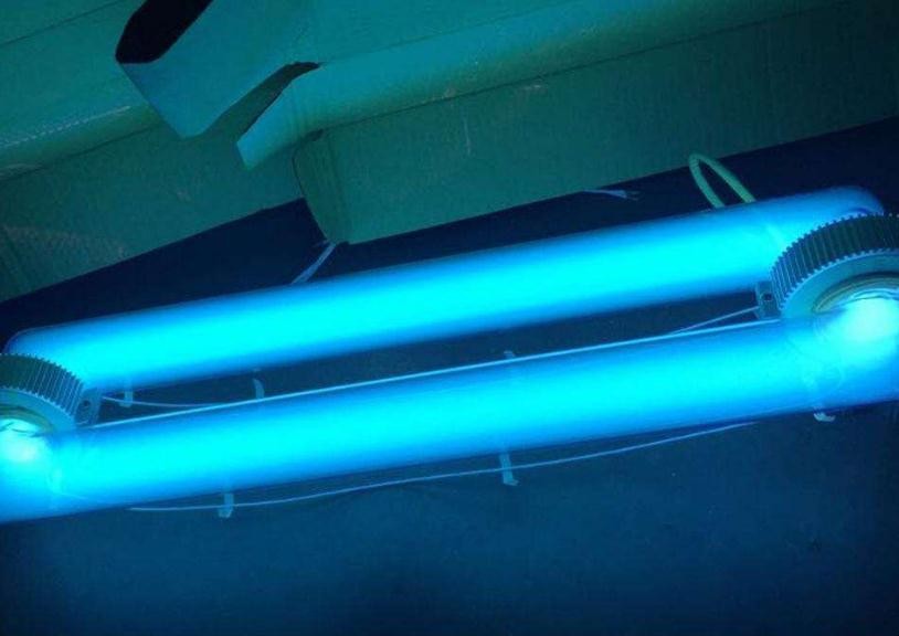 紫外線燈可以殺死蟎蟲嗎