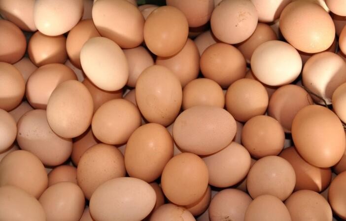 人造雞蛋和真雞蛋的區別有哪些