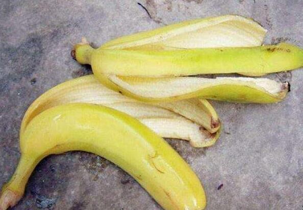 香蕉皮的用處有哪些