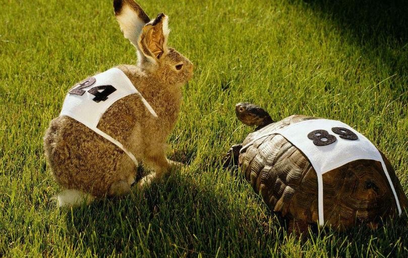 龜兔賽跑的故事說明瞭什麼道理
