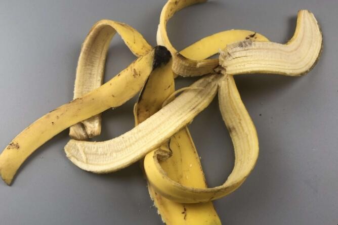 香蕉皮怎麼除蟑螂