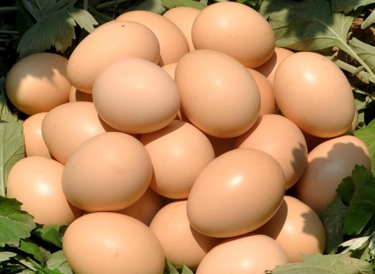 夏天雞蛋的保存方法是什麼