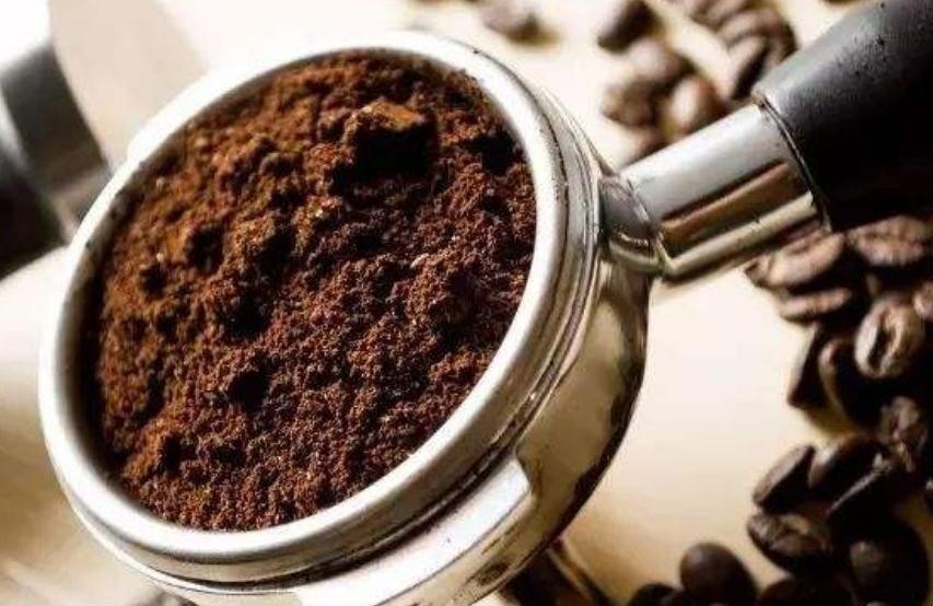 咖啡渣可以用來種植植物的嗎