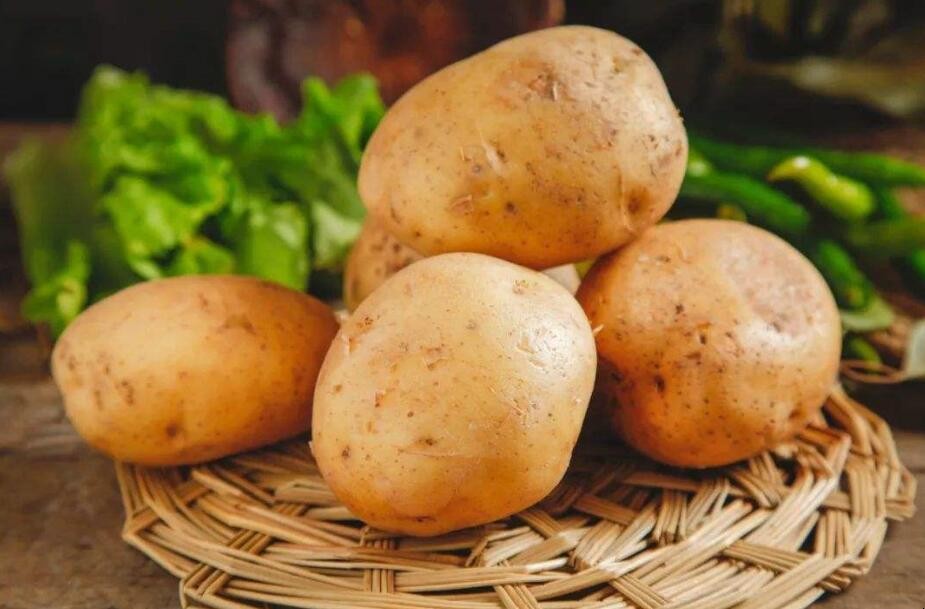 土豆是根還是莖還是果實