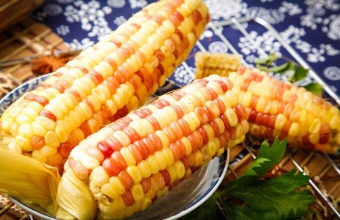 黏玉米和普通玉米的區別是什麼