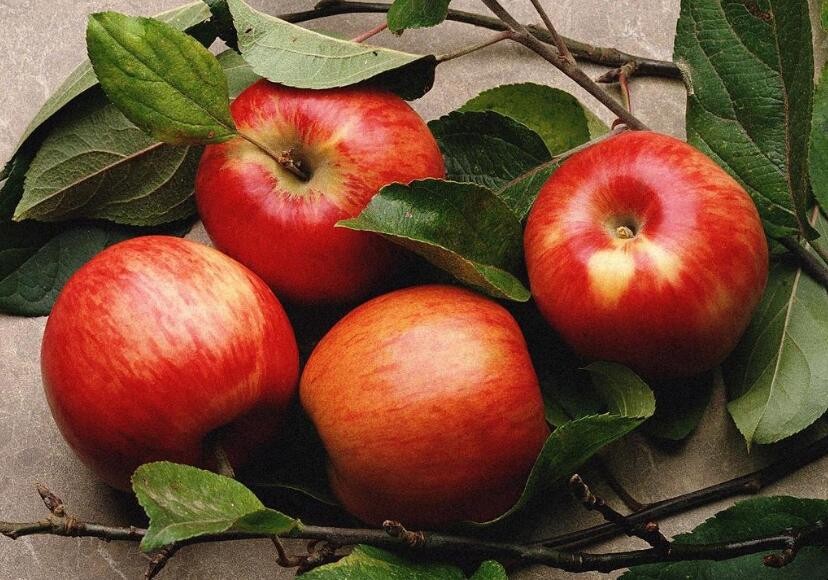 蘋果打蠟和沒打蠟有什麼區別