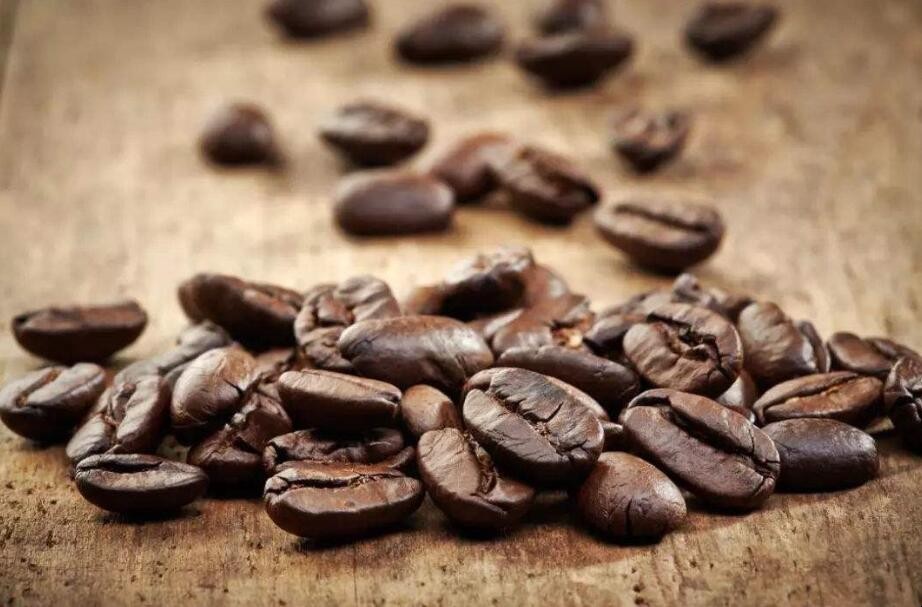 咖啡豆可以做肥料嗎