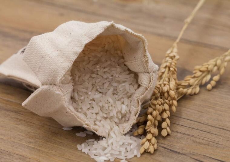 怎樣才能讓大米保存更長時間