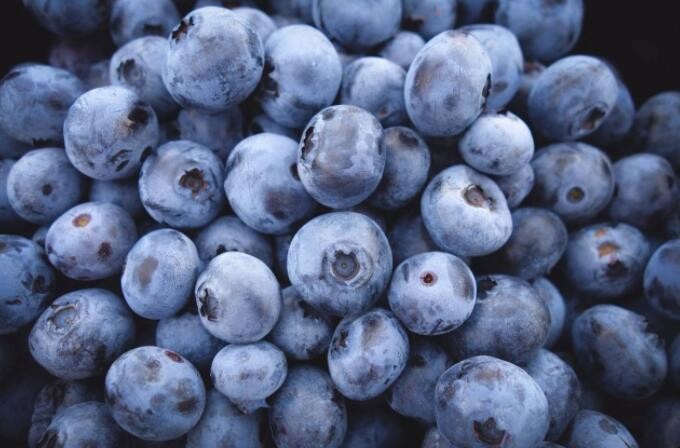 藍莓上面白白一層是什麼東西