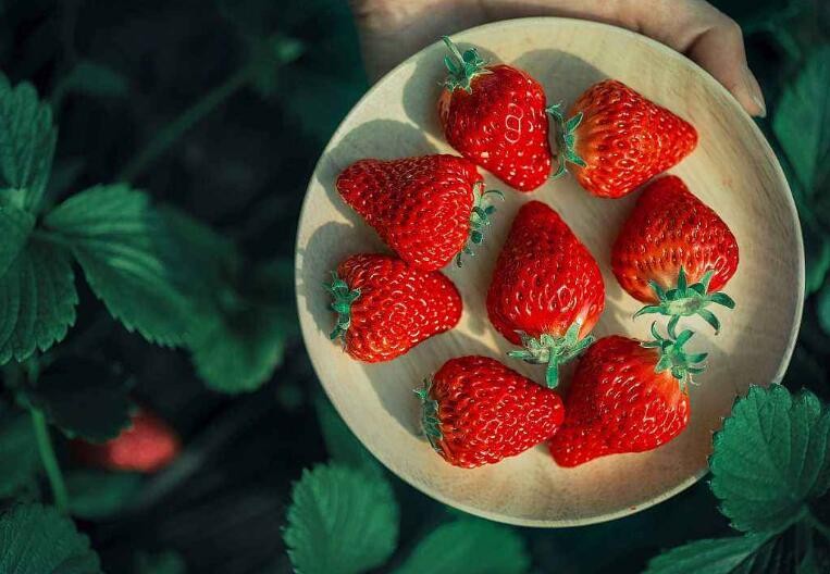 清洗草莓有什麼小妙招
