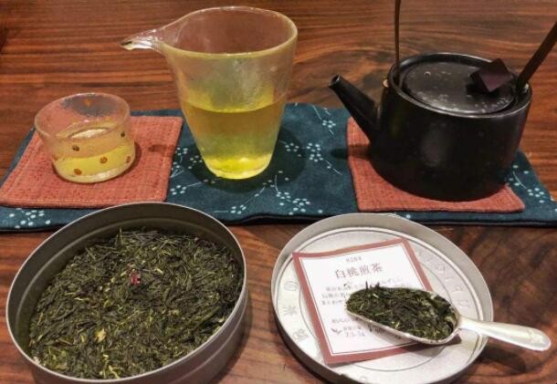 日本煎茶怎麼喝