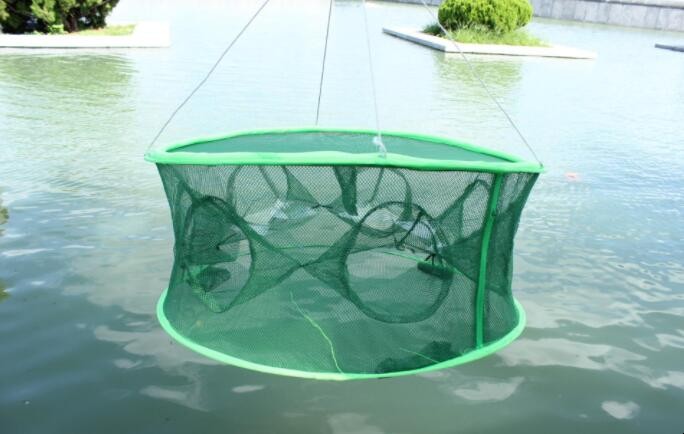 水庫地籠捕魚技巧是什麼