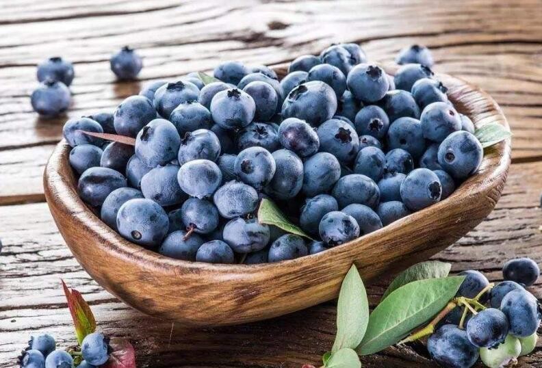 藍莓可以放幾天