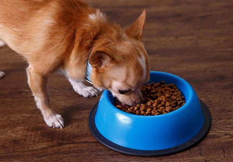 最簡顆粒狗糧制作方法是什麼
