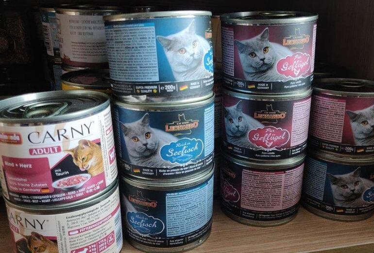 貓咪主食罐頭推薦是什麼