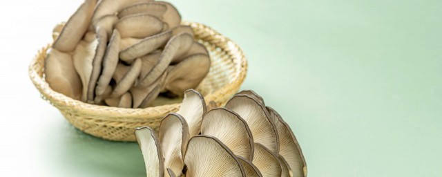蘑菇怎麼煮 蘑菇怎麼做好吃