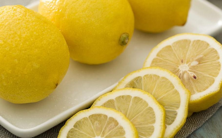 檸檬種子的種植方法有哪些
