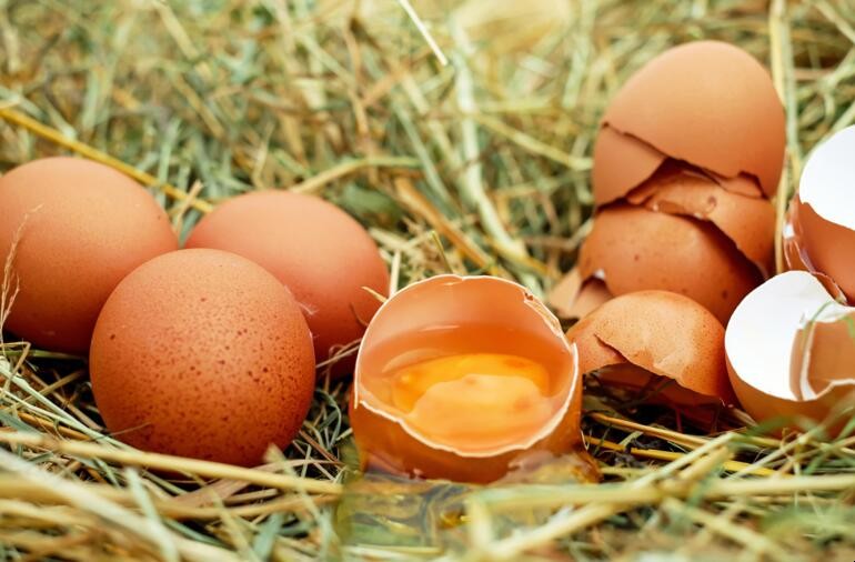雞蛋破損主要是什麼原因