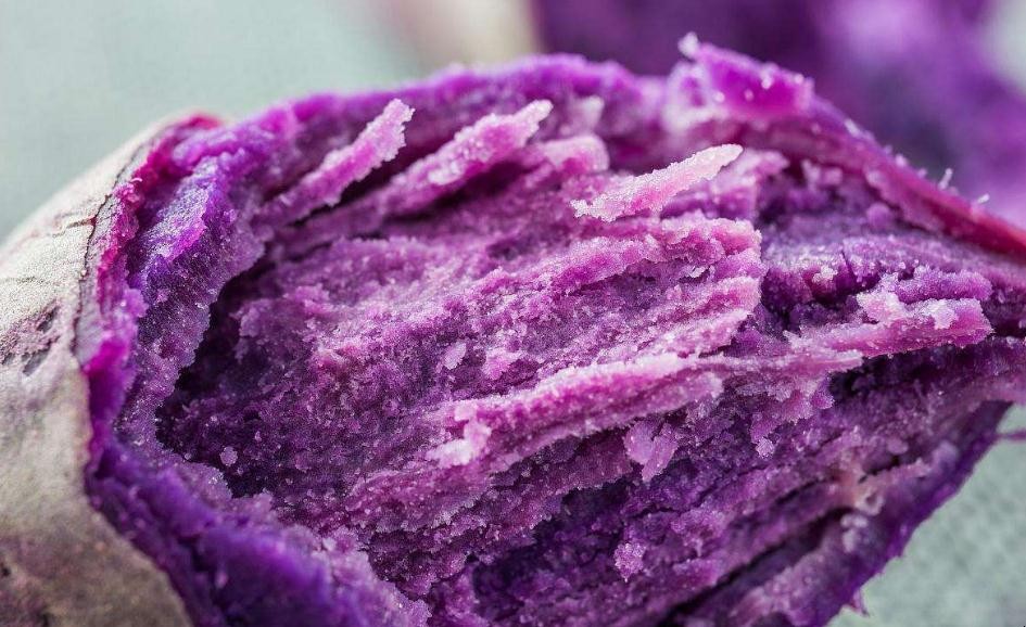 紫薯種植的註意事項是什麼