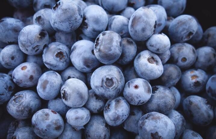 怎麼挑選藍莓