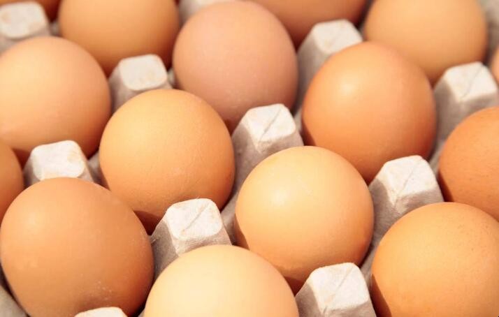 人造雞蛋和真雞蛋的區別是什麼