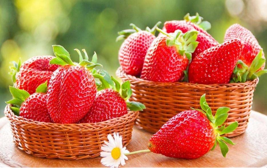 草莓怎樣種植收成高