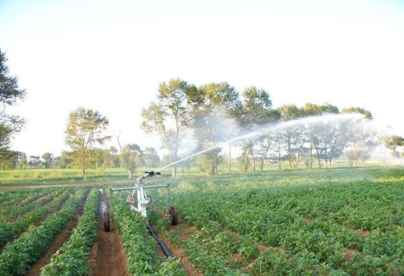 農業灌溉的方式有哪些