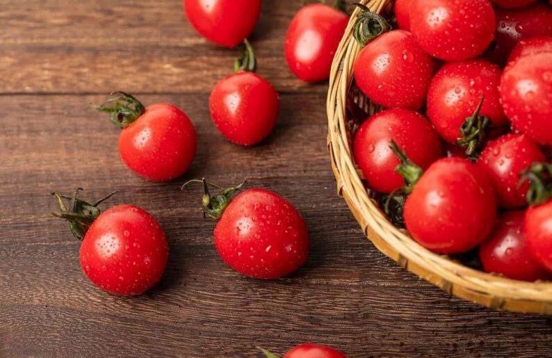 怎麼挑選到滿意的西紅柿