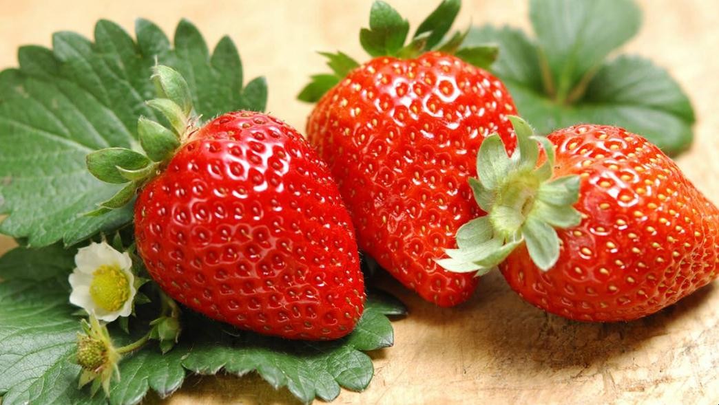 草莓大棚栽培技術要點有哪些
