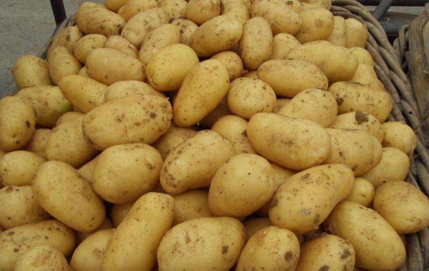 土豆有點發黑能不能吃
