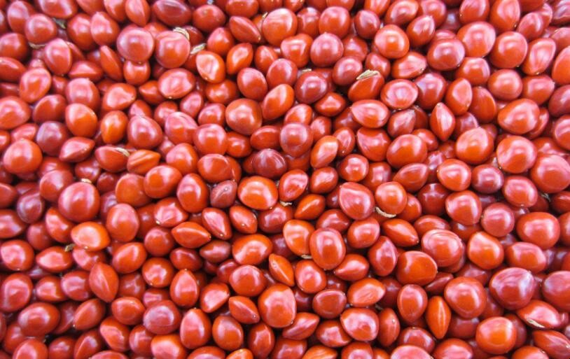 紅豆與赤小豆的區別有哪些