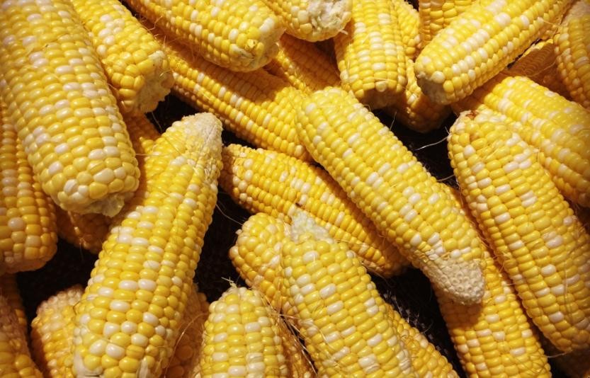 玉米追肥用什麼肥料