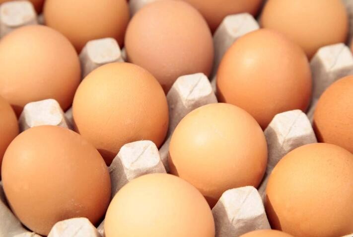 怎麼知道雞蛋是好是壞