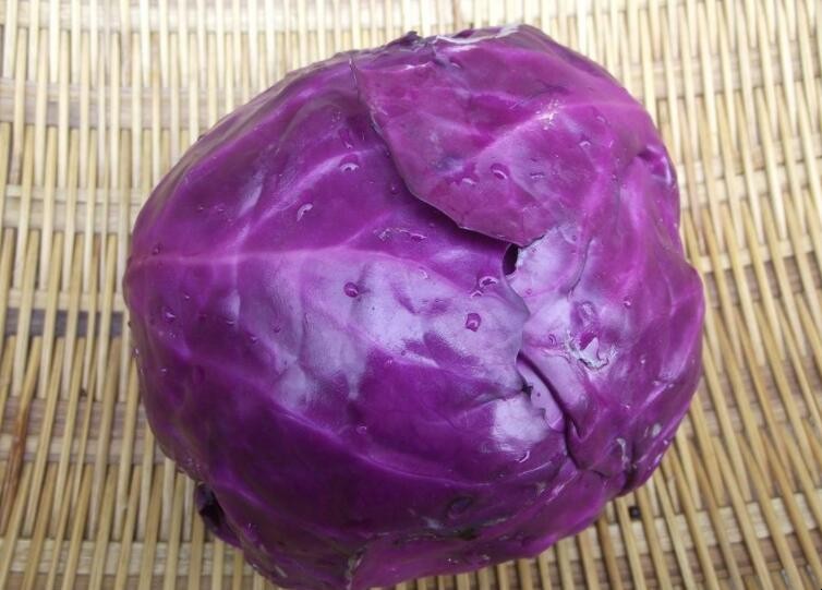紫色大白菜該怎麼種