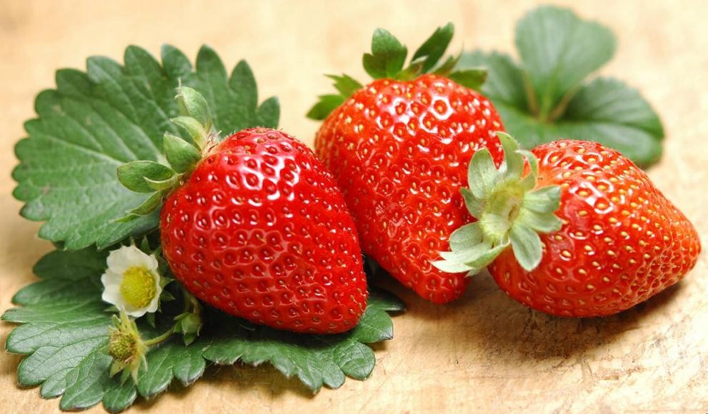 草莓無土栽培技術有哪些