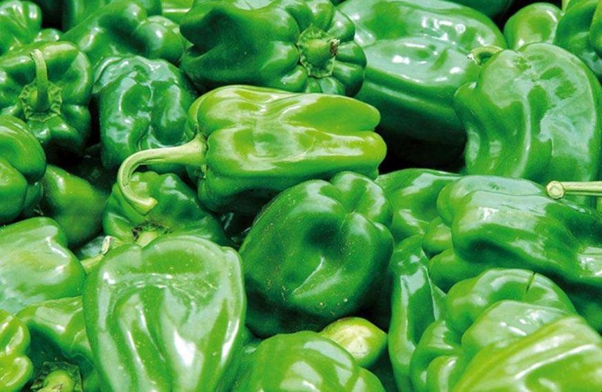 菜椒是轉基因食品嗎