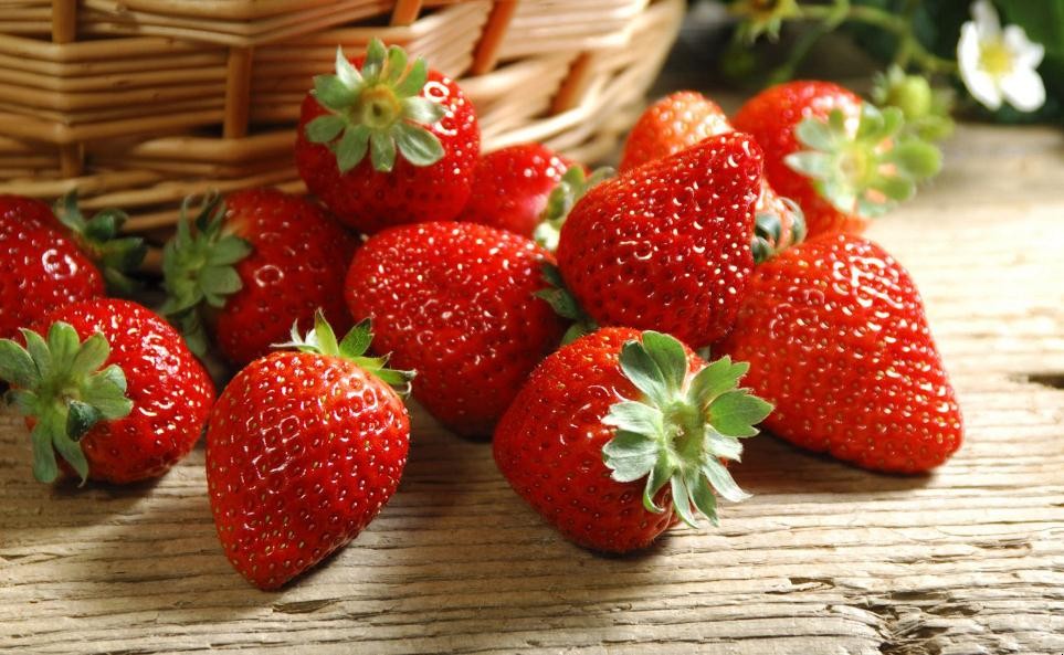 草莓大棚栽培技術是什麼