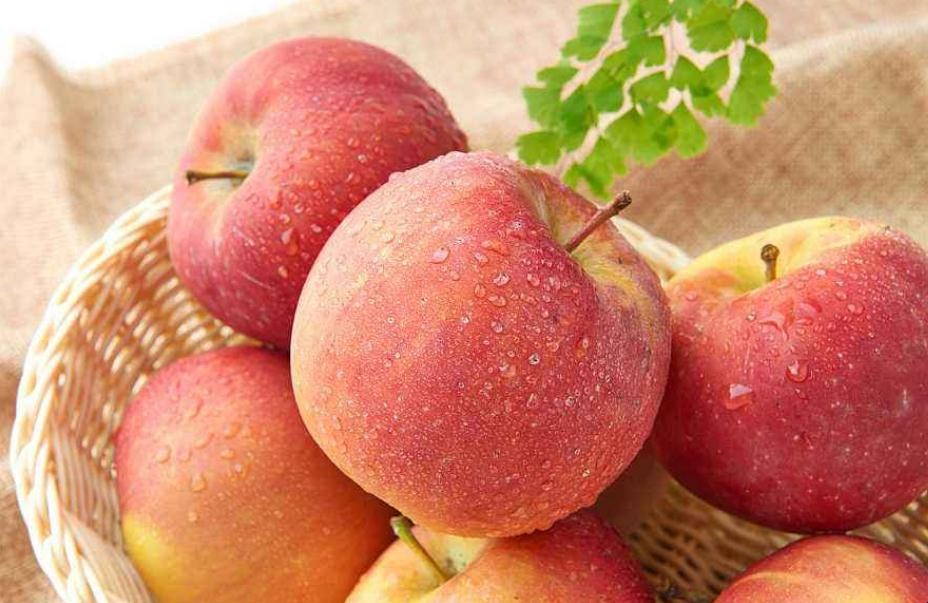 蘋果用什麼農藥合適