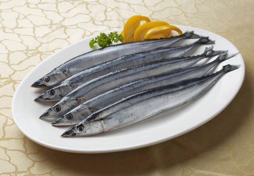 刀魚是淡水魚還是海魚