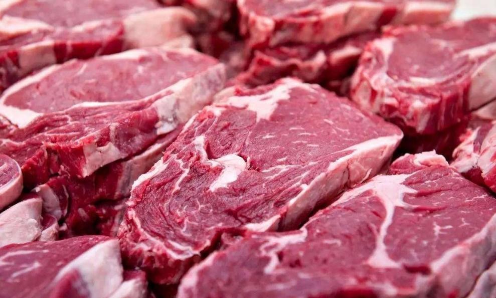 2020年牛肉養什麼品種好