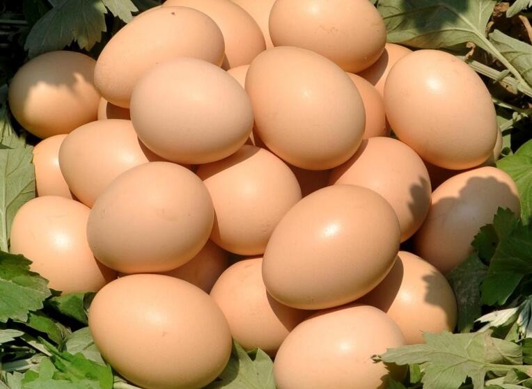 雞蛋需要怎麼保存