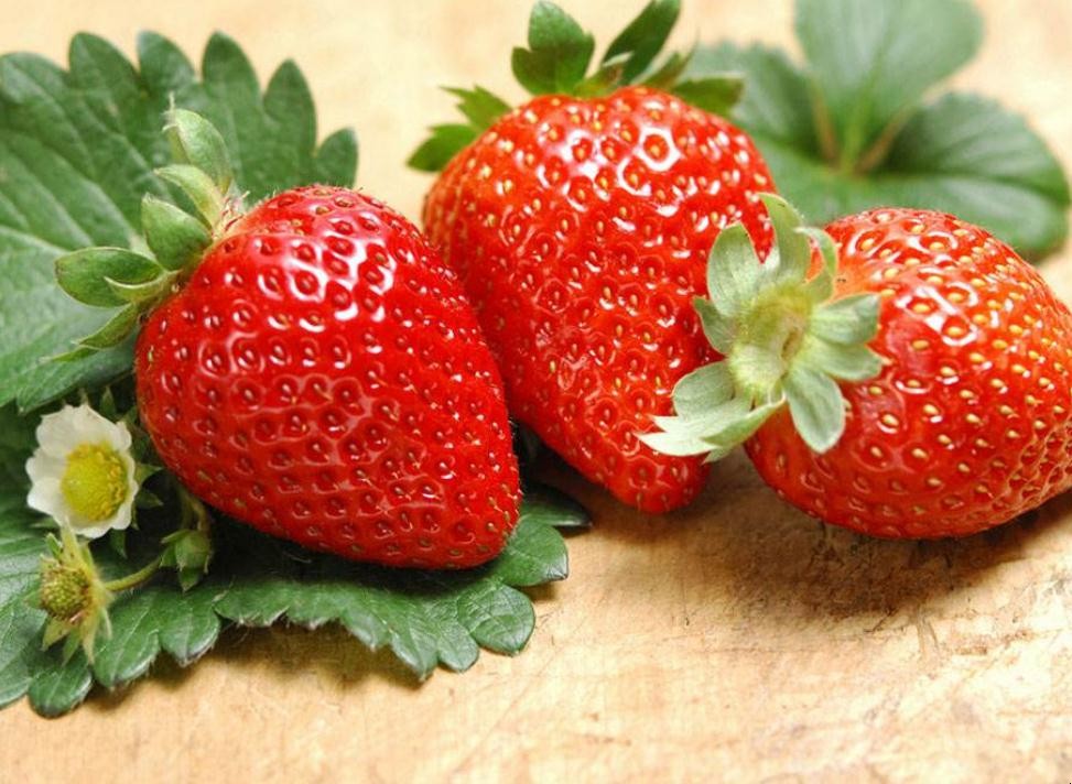 草莓的產地分佈有哪些