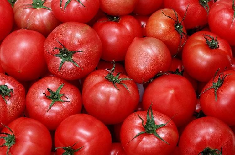 番茄如何授粉