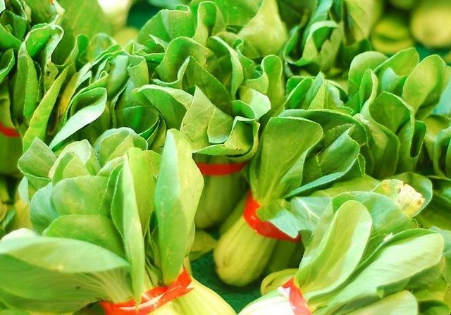 如何種植優質的小青菜