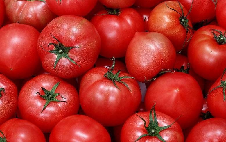 西紅柿有什麼營養價值