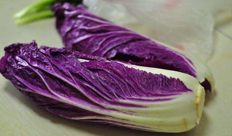 紫色大白菜怎麼種高產
