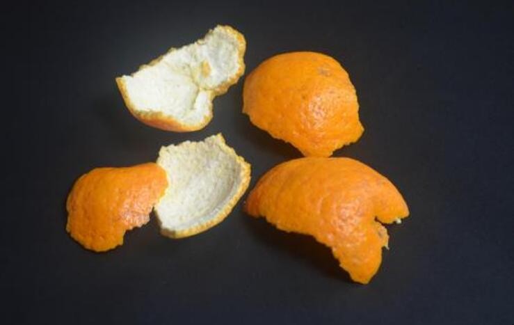 橘子皮怎麼養花