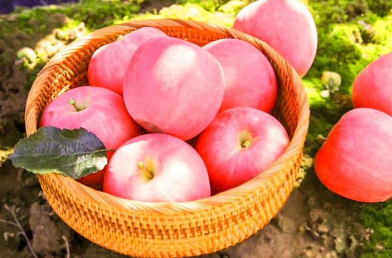 吃蘋果能減肥真的嗎