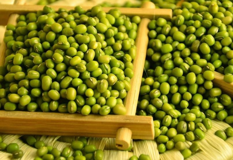 綠豆可以放在冷凍區保存嗎
