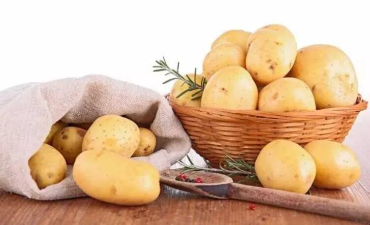 土豆能放冰箱保鮮嗎